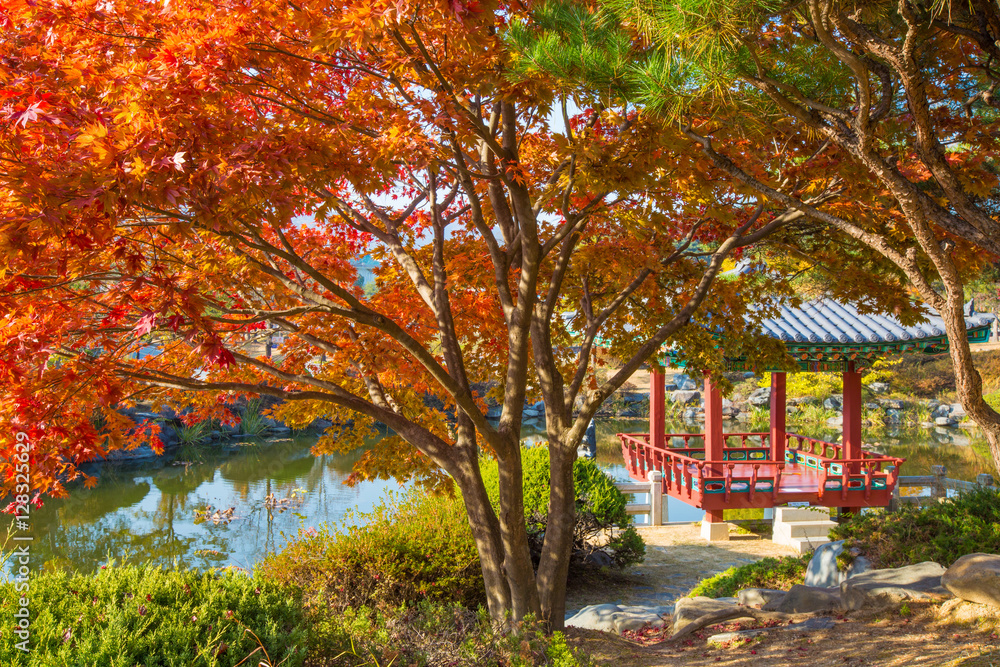 Naklejka premium 대전 현충지 주변의 가을