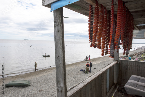 Dried salmon photo