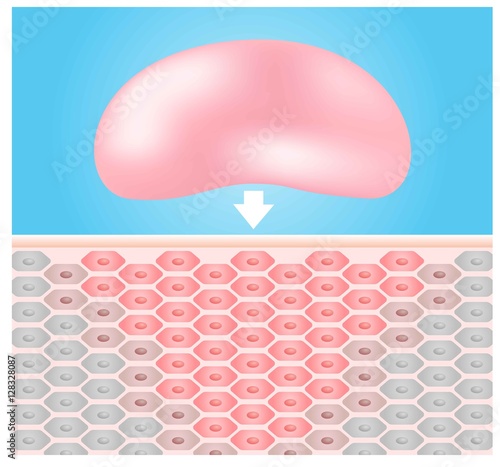 moisturizer turn dry skin to healthy skin , vector . anatomy