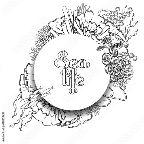 Graphic fish with coral reef