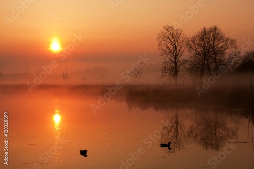 sunrise over a lake with ducks 4