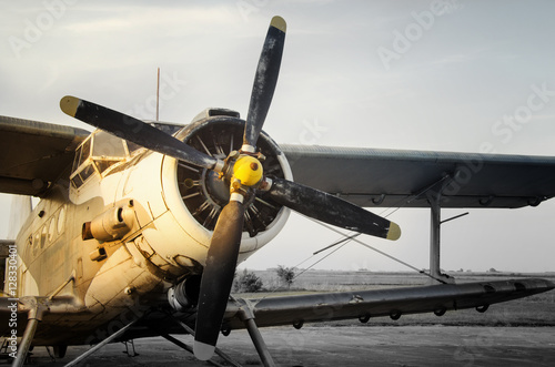 Canvas Print Airplane on the runway