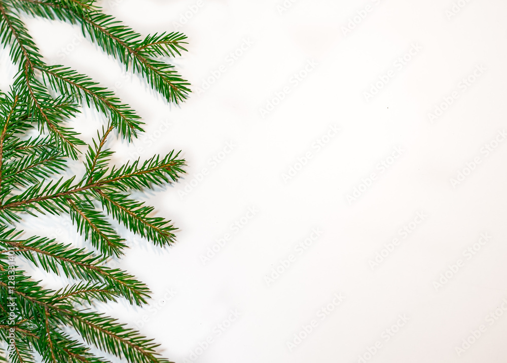 Green fir branches isolated on white background Green fir branches isolated on white background