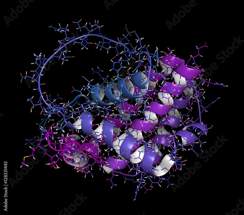 BCL-2 protein, 3D rendering. Prevents apoptosis (cell death) and often found overexpressed in cancer cells. photo