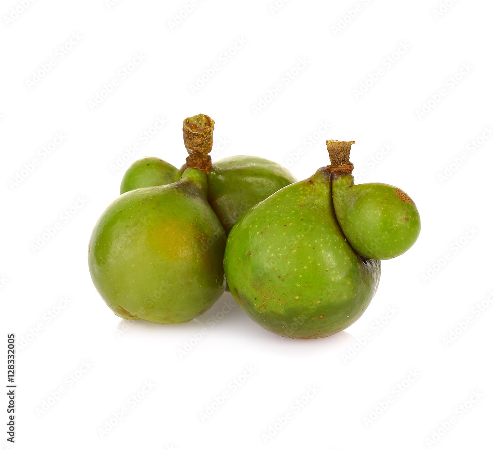 Soap nut tree isolated on white background Soap nut tree isolated on white background