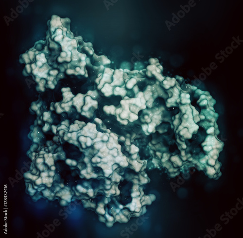 Human serum albumin protein, 3D rendering. 
