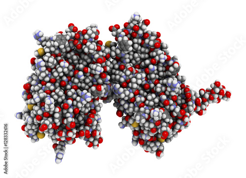 Interferon beta protein. Cytokine used to treat multiple sclerosis (MS).