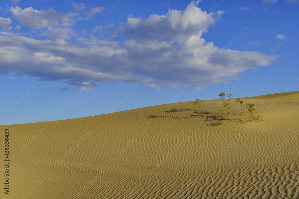 Naklejka premium The beautiful Mesquite Flat Dunes