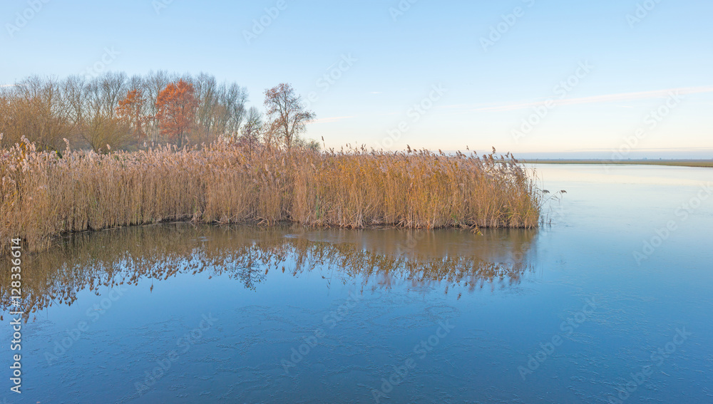 Shore of a lake in sunlight in autumn