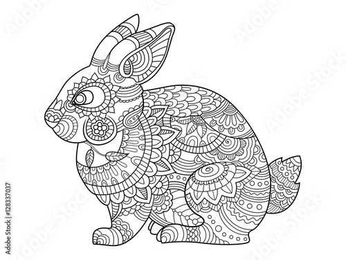 Rabbit bunny coloring book for adults vector