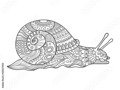 Snail coloring book for adults vector