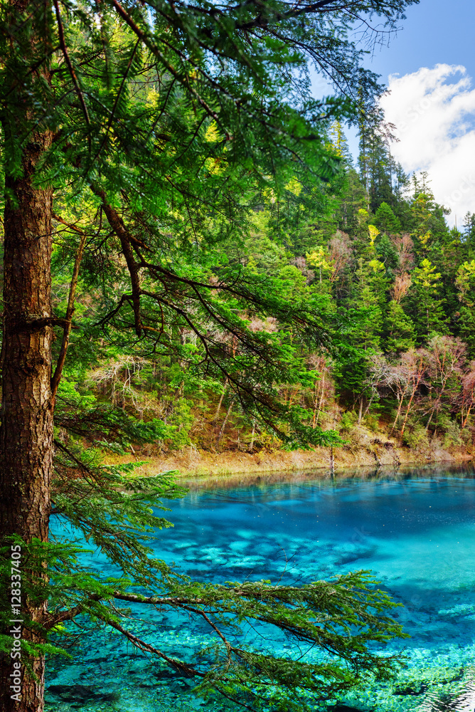 The Five Coloured Pool with azure water among evergreen woods The Five Coloured Pool with azure water among evergreen woods