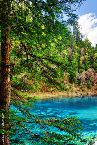 The Five Coloured Pool with azure water among evergreen woods