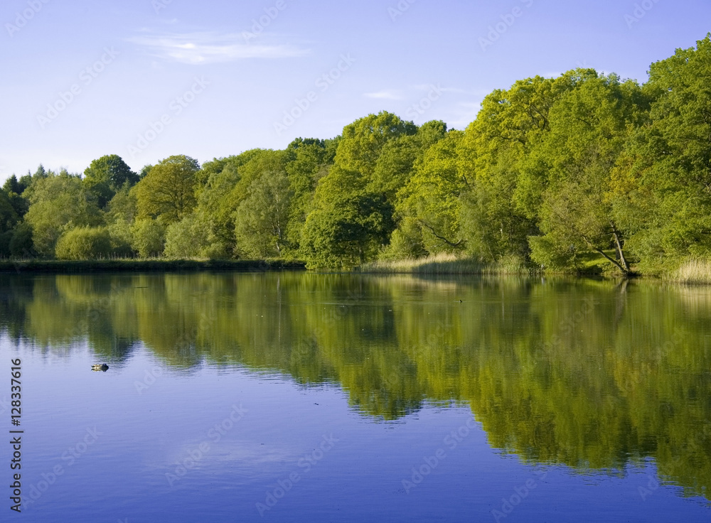 forest of dean gloucestershire uk forest of dean gloucestershire uk