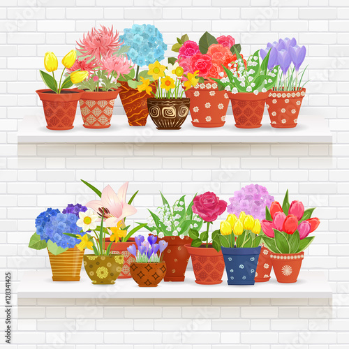 shelves on a wall of white brick with lovely flowers planted in