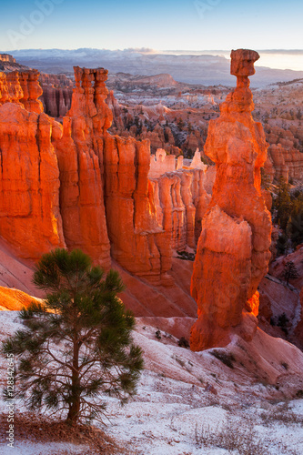 Thor's Hammer and hoodoos in Bryce Amphitheater at sunrise, Bryc