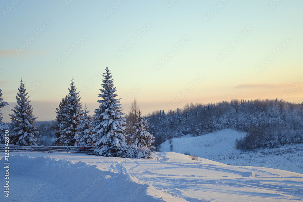 Beautiful winter landscape in the forest