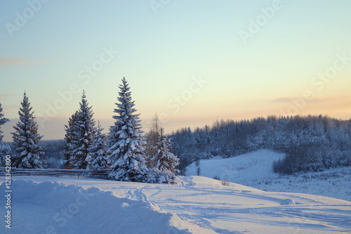 Beautiful winter landscape in the forest