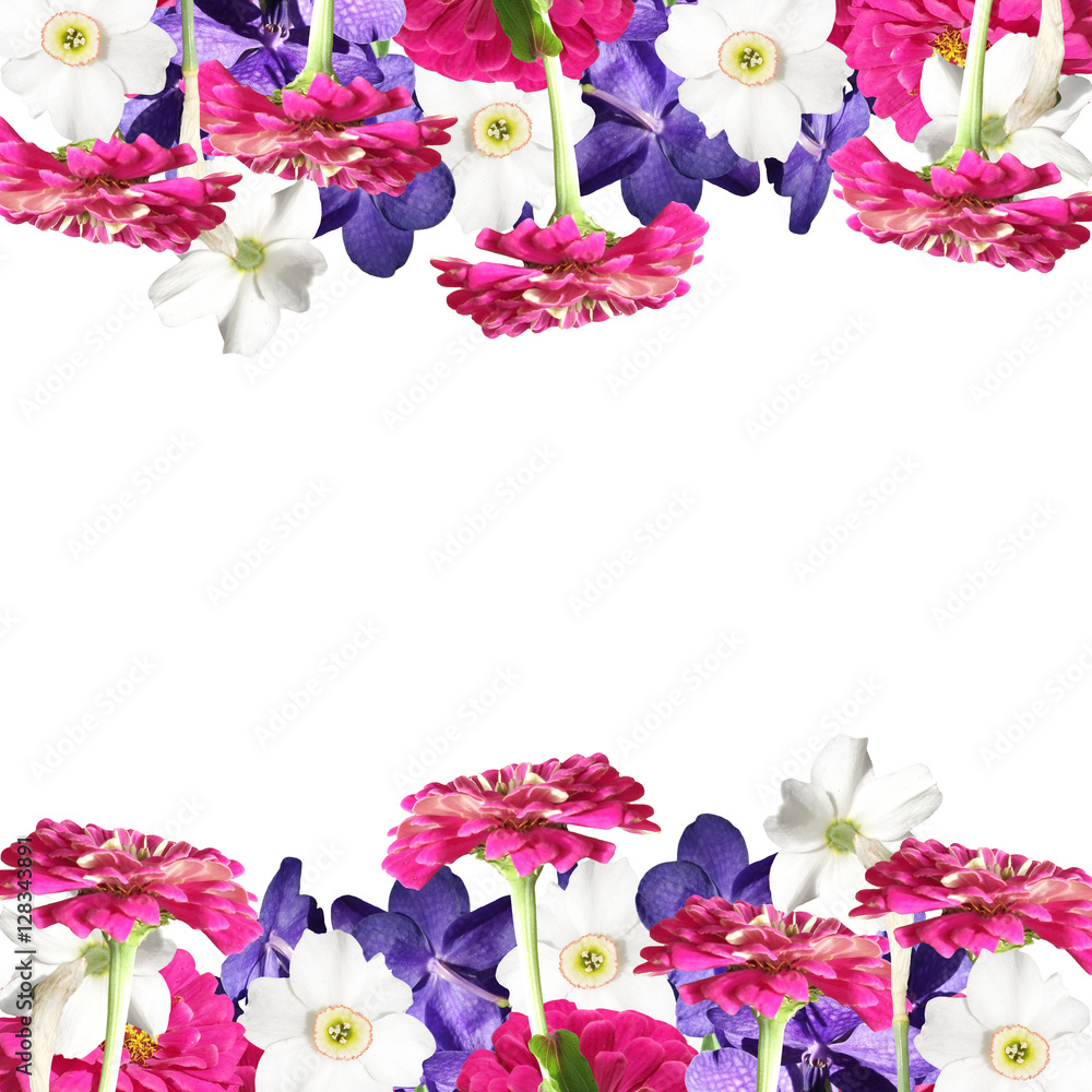 Floral background tsiny, narcissus and orchids Vanda 