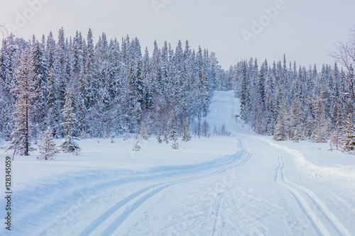 Skiing trail in beautiful winter landscape © Taiga