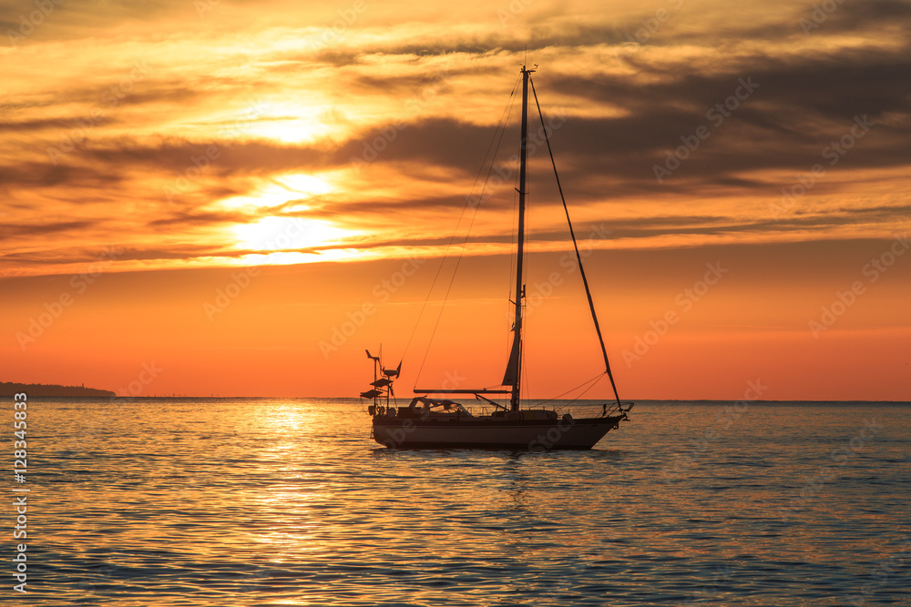 Boat Trip