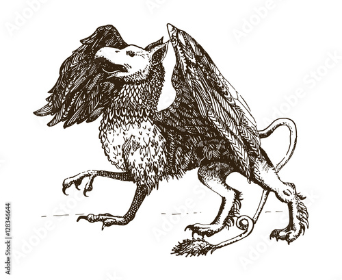 Griffin.Legendary creature. Heraldic symbol. Vintage hand drawn illustration.
