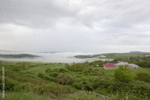 Wallpaper Mural Fog Mountain Grass Torontodigital.ca