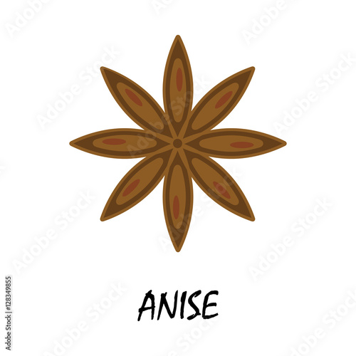 anise flat icon