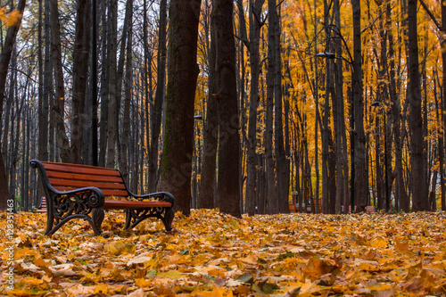 Photography Russia. Moscow. Neskuchniy Garden. The evening in the park.