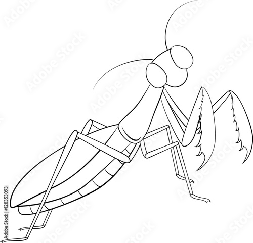 Hand drawing, sketch, mantis on a white background