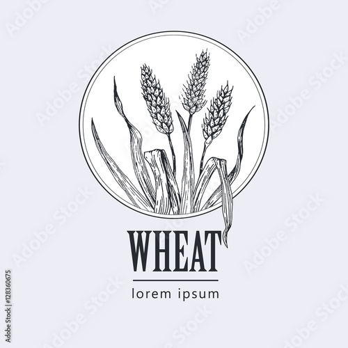 bakery vintage bread or beer logo with wheat