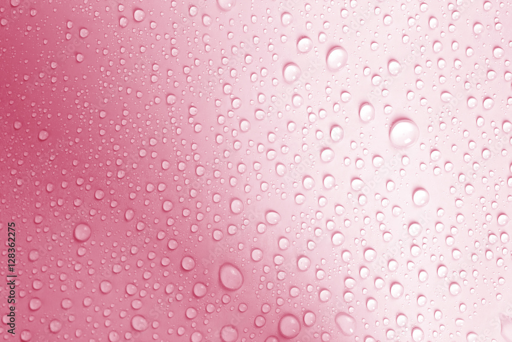 the water drop on fresh light pink background the water drop on fresh light pink background