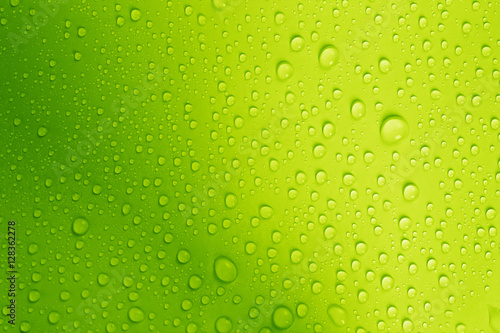 Billede på lærred the water drop on fresh green  background