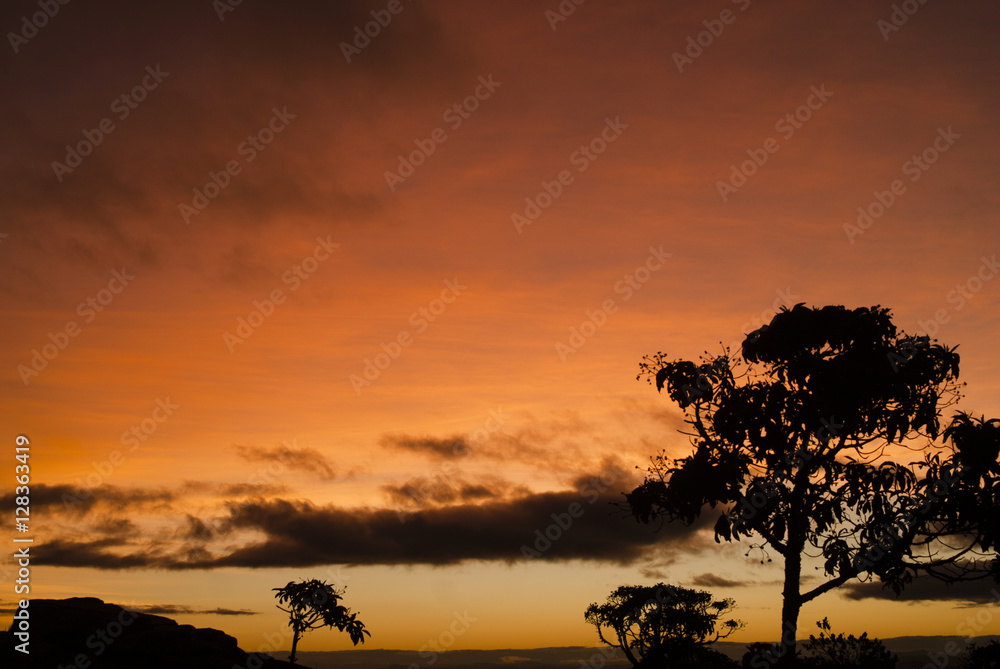 Stone and trees silhouettes at dawn in Brazil