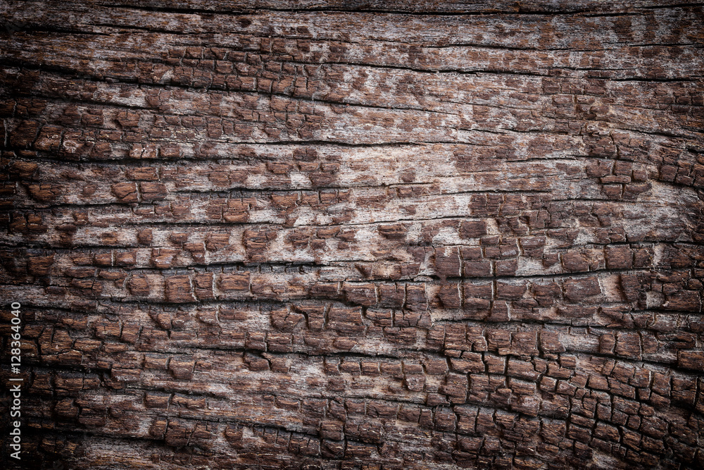 Old wood texture.
