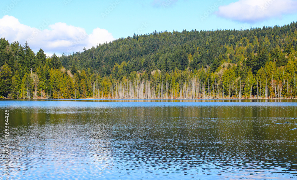 calm and peaceful lake 