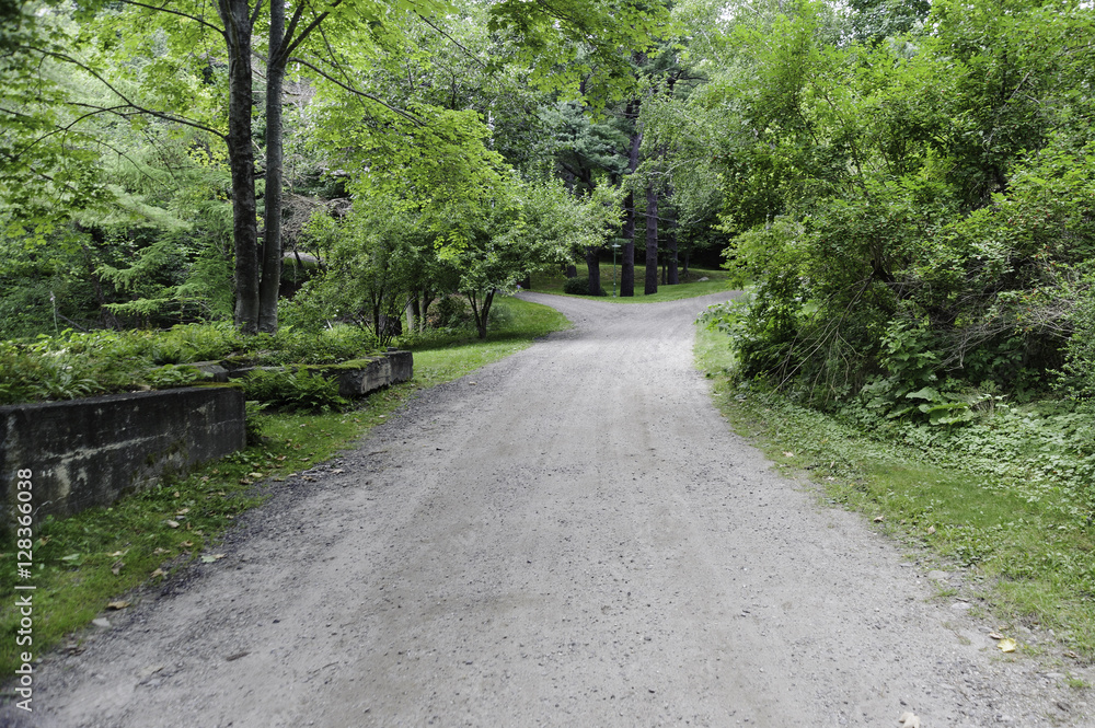 Fototapeta premium Fork in road