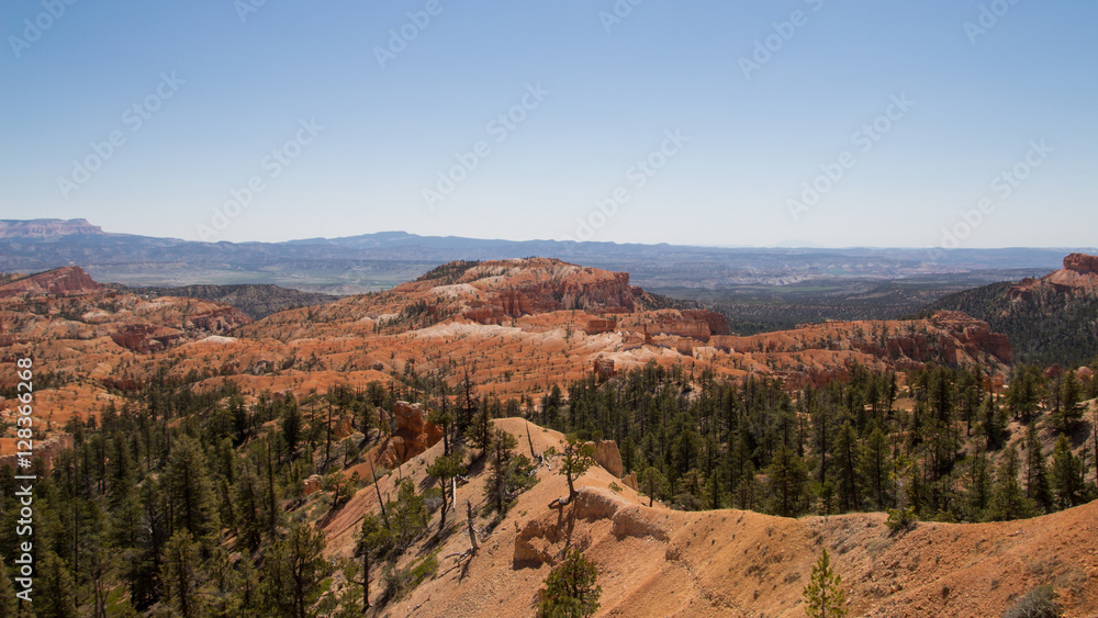 Fototapeta premium Bryce canyon National Park