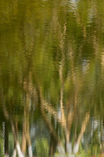 Reflection of trees on water, green environmental background, vertical image