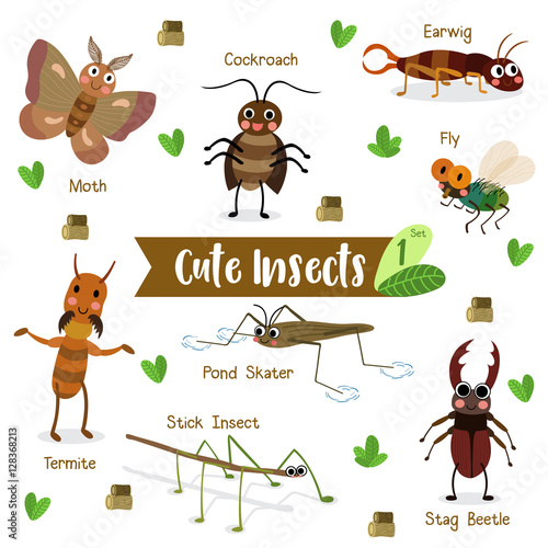 Cute Insects Animal cartoon on white background with animal name. Fly. Cockroach. Pond Skater. Stick Insect. Moth. Termite. Earwig. Stag Beetle. Beetle. Vector illustration. Set 1.