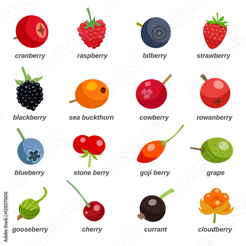 Berries Colored Icons Set With Inscription