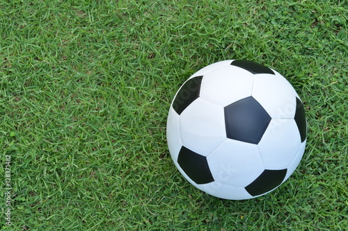 Football or soccer ball on the lawn with copy space for text,outdoor activities.