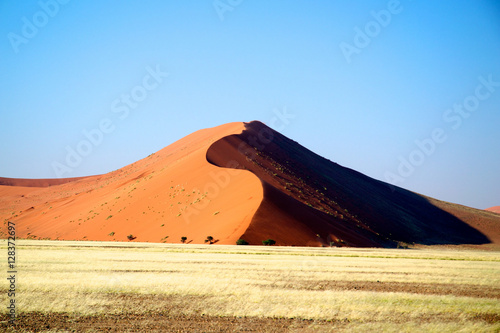 Namibia Kalahari desert dune