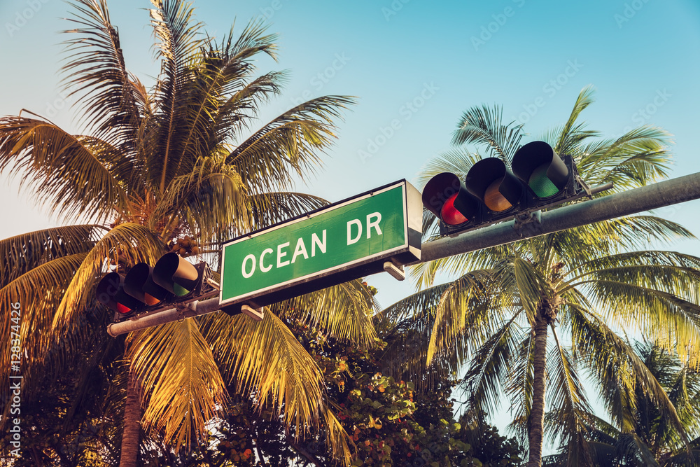 Naklejka premium Znak ulicy Ocean Drive z palmami, Miami