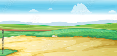 Scene with road on the field
