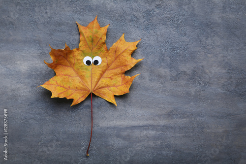 Autumn leaf with googly eyes on grey background