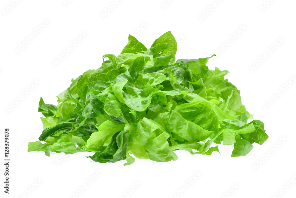 pile of slice fresh baby cos,lettuce isolated on white backgroun pile of slice fresh baby cos,lettuce isolated on white backgroun