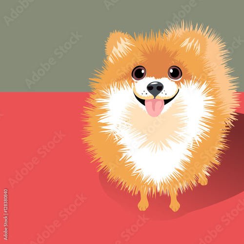 vector Illustration of a happy funny fluffy Pomeranian dog