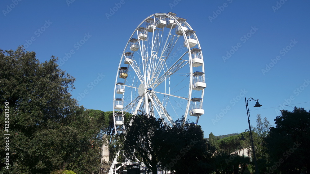 Trees and wheel Trees and wheel