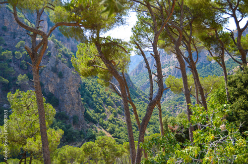 Ouadi Qadisha (the Holy Valley) Lebanon